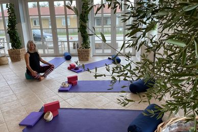 Yoga & meditation i Danmark Danmark